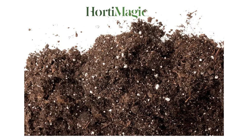 HortiMagic12.webp