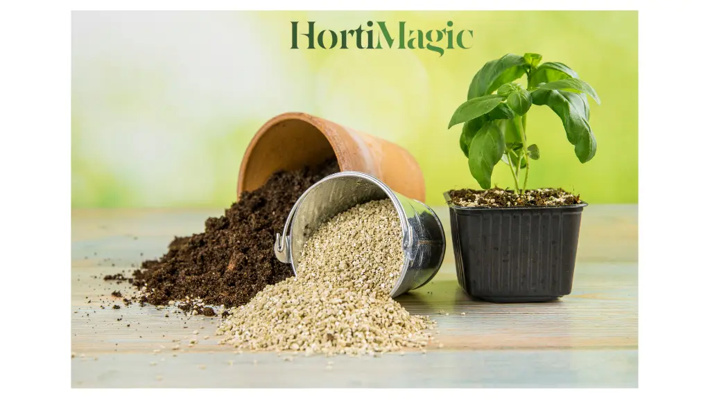 HortiMagic14.webp