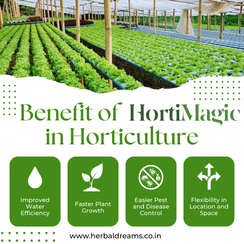HortiMagic9.webp