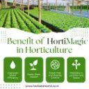 HortiMagic9.webp
