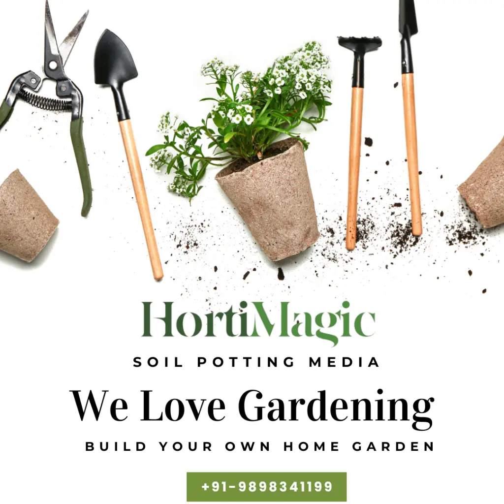 HortiMagic.webp