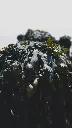 ayotunde-ikuesan-mEMIiLflDSI-unsplash.webp