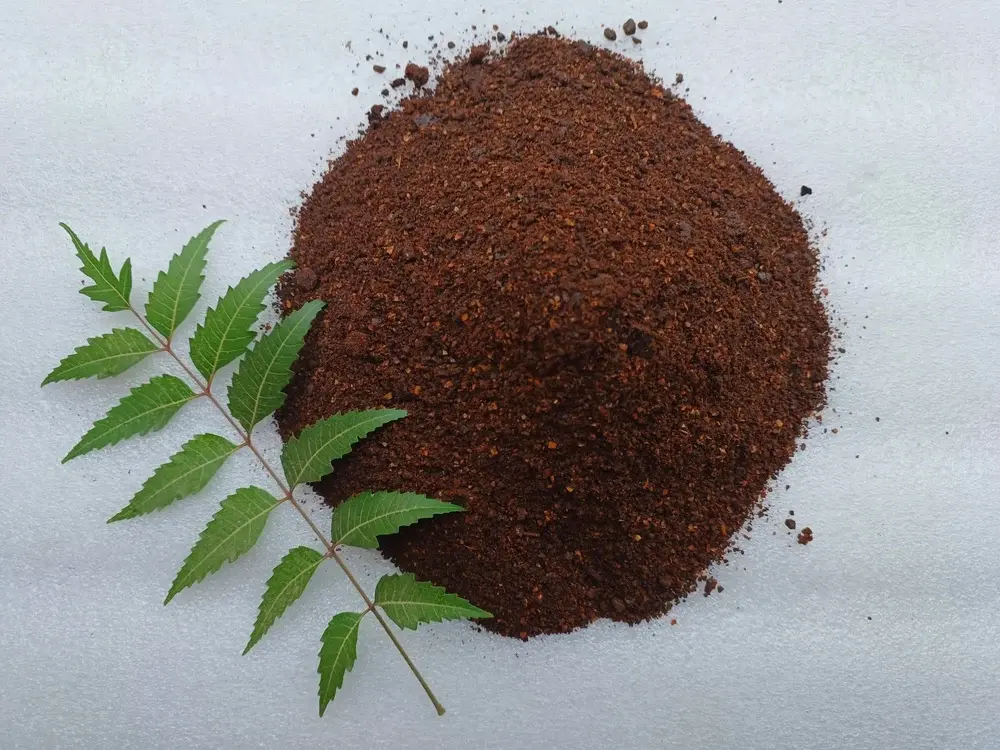 brown-neem-cake-fertilizer-1000x1000.webp