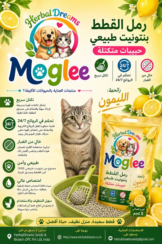 file_000000001bf47207a8656cd54891b479.webp
