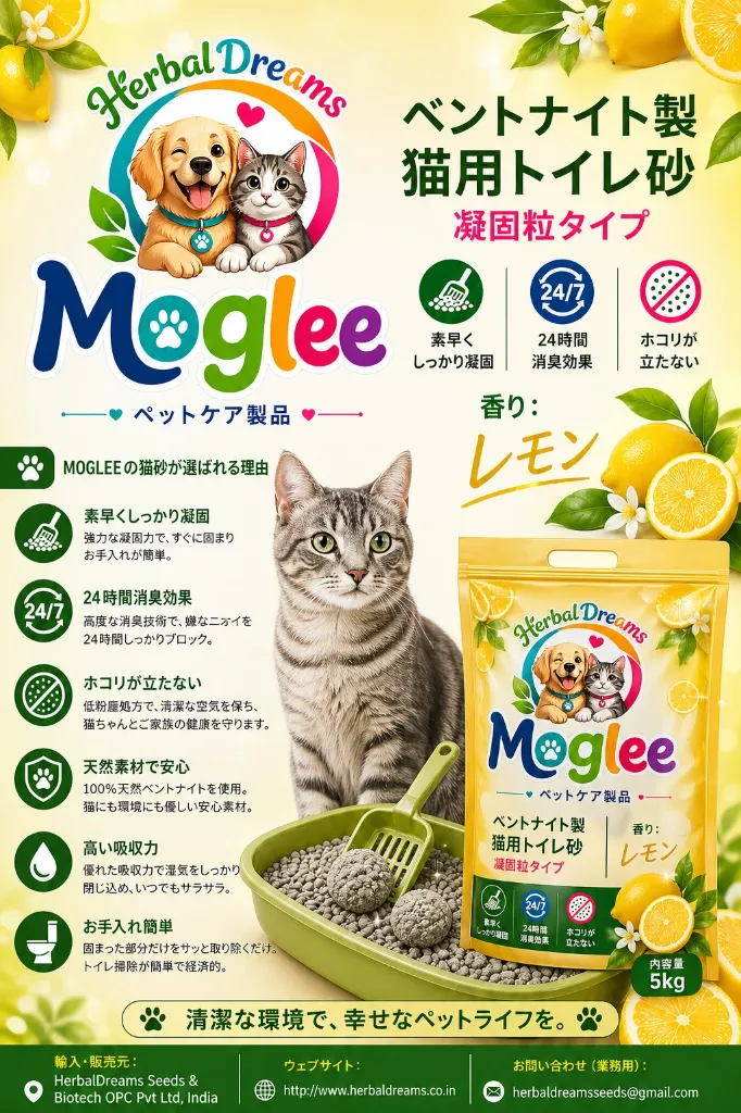 file_00000000a92471fa9d1e3e8b9a21fd67.webp