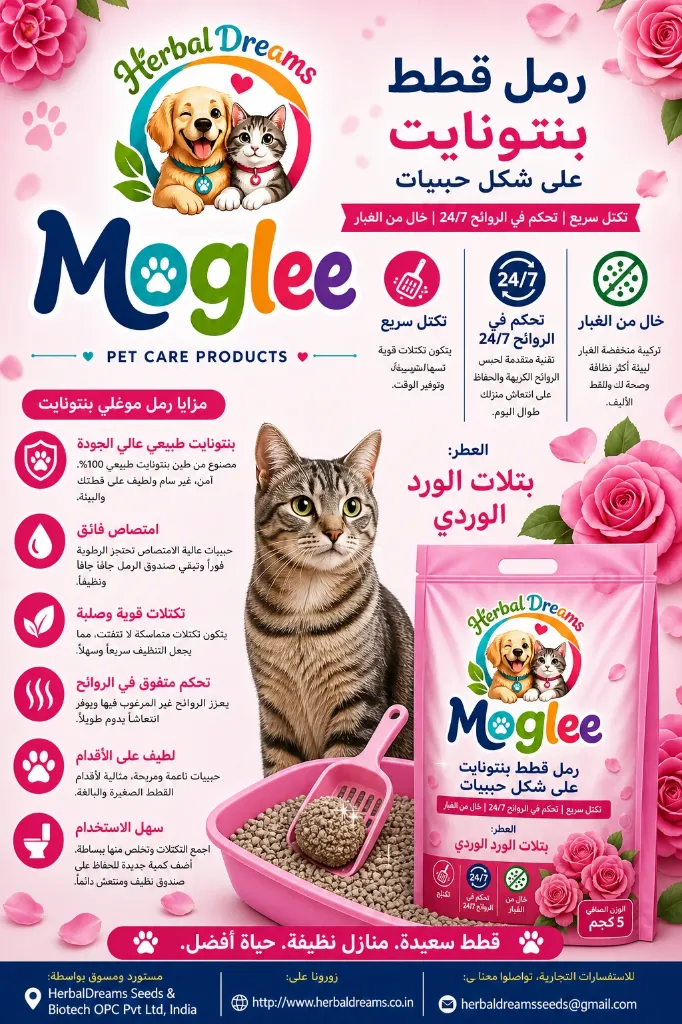 file_0000000087007207b5ae3d7f8db2d61a.webp