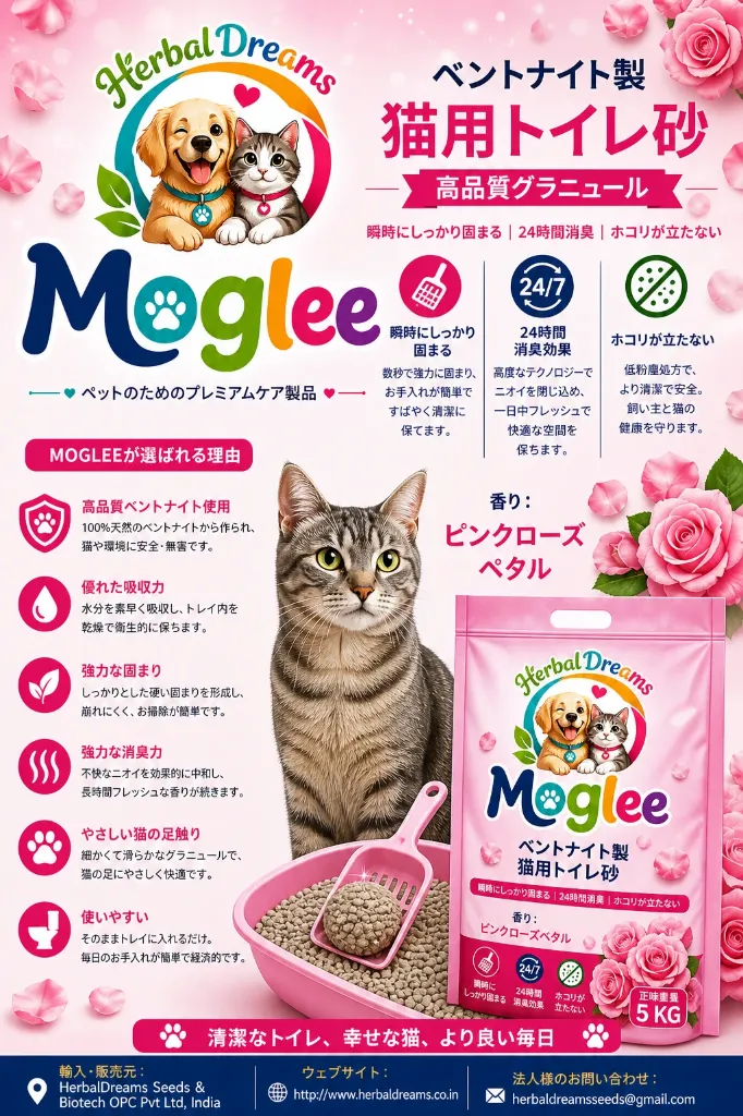 file_00000000668072079b8e9f86404a4c4e.webp
