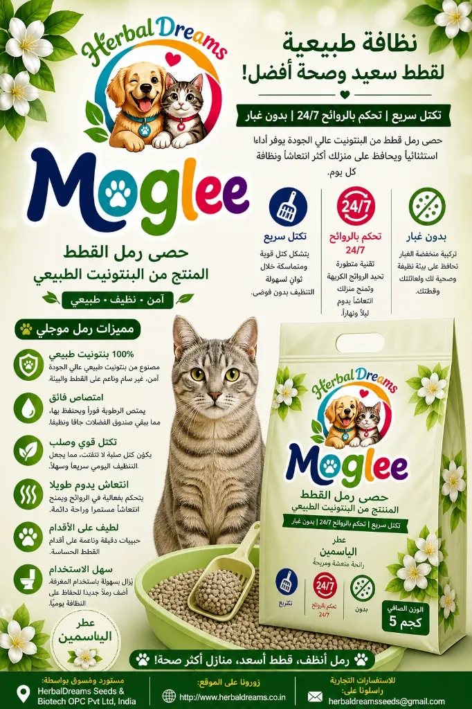 file_000000009ea07208ad2379c56b1ddefe.webp