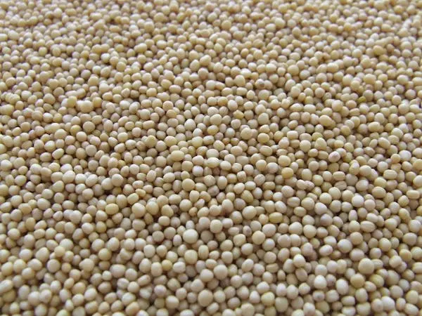 Soil Conditioner Granules