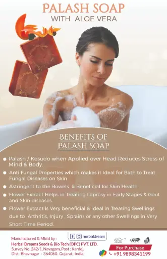 Ayurvedic Aloe Vera and Palash Herbal Soap