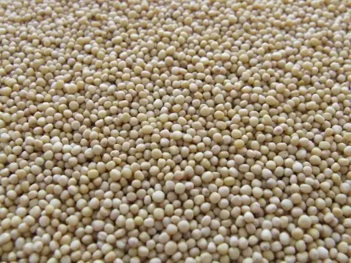 Soil Conditioner Granules